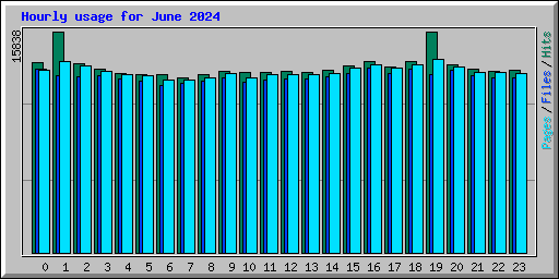 Hourly usage for June 2024